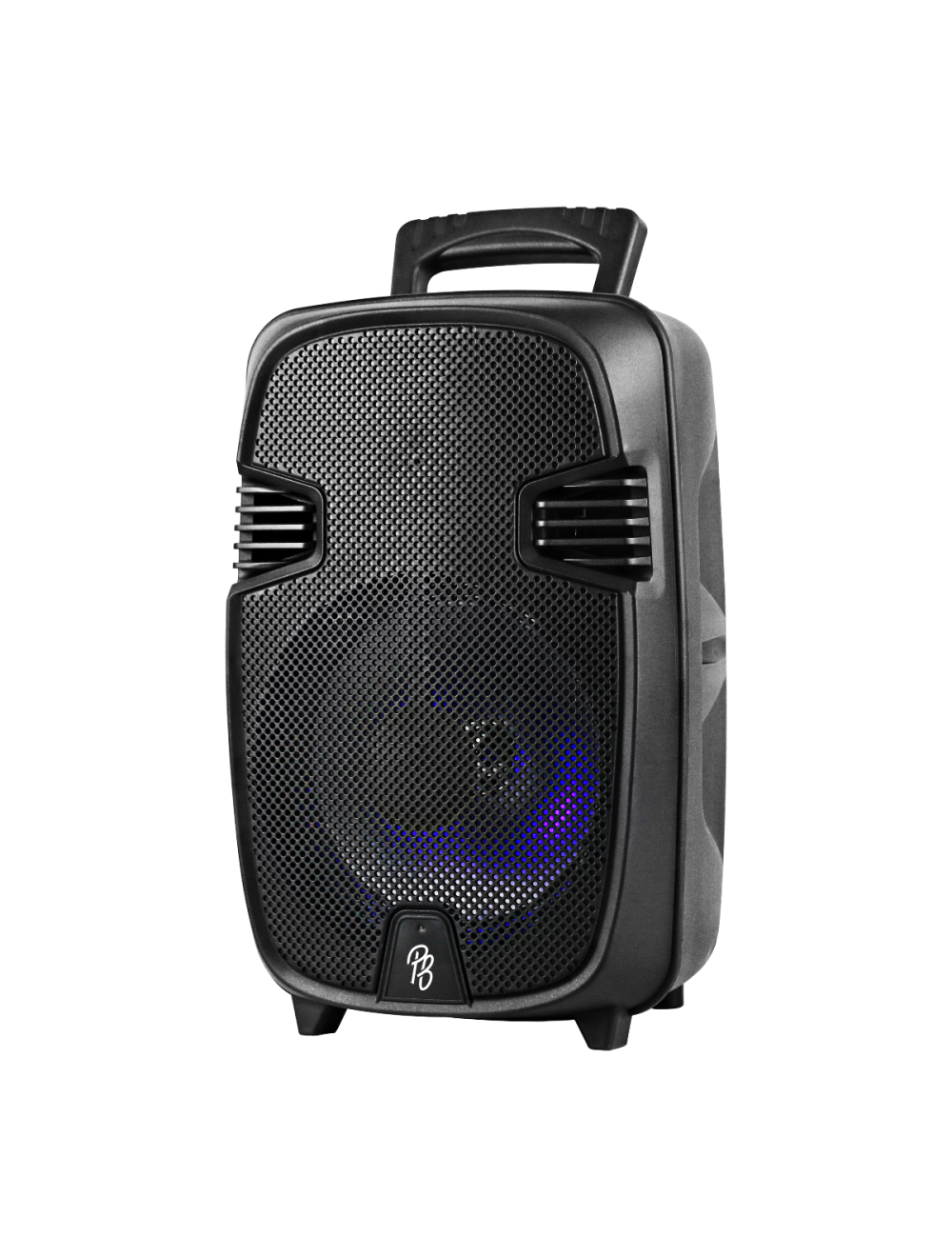 Pro outlet bass speaker